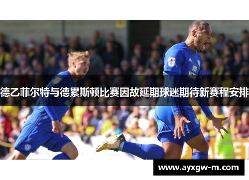 德乙菲尔特与德累斯顿比赛因故延期球迷期待新赛程安排
