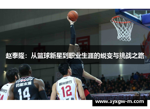 赵泰隆：从篮球新星到职业生涯的蜕变与挑战之路